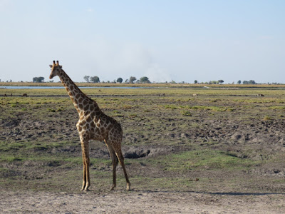 Elena McGuire. Botswana.