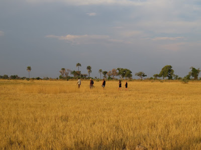 Elena McGuire. Botswana.