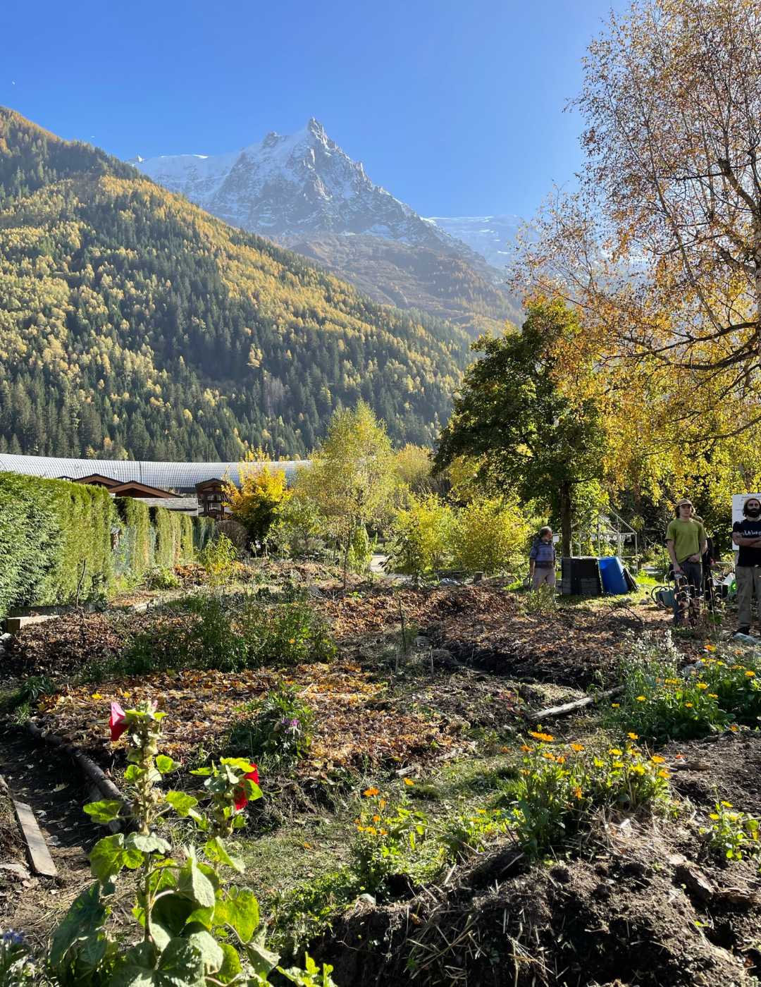 Chamonix Green Office