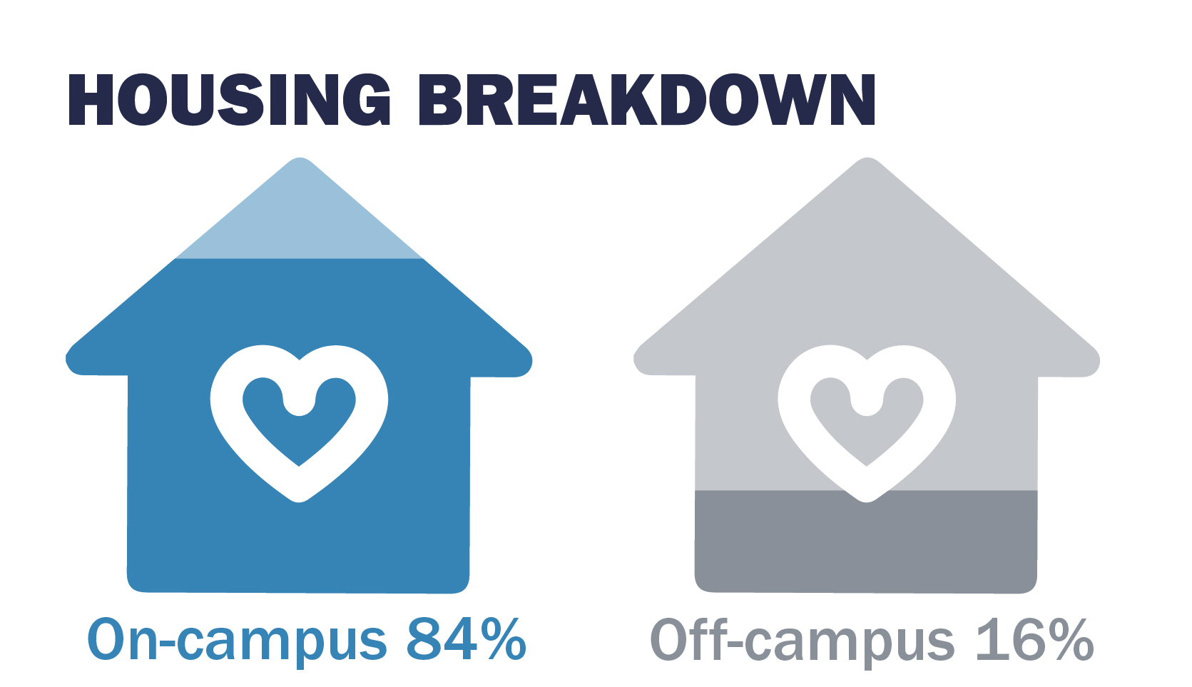 Housing Breakdown census