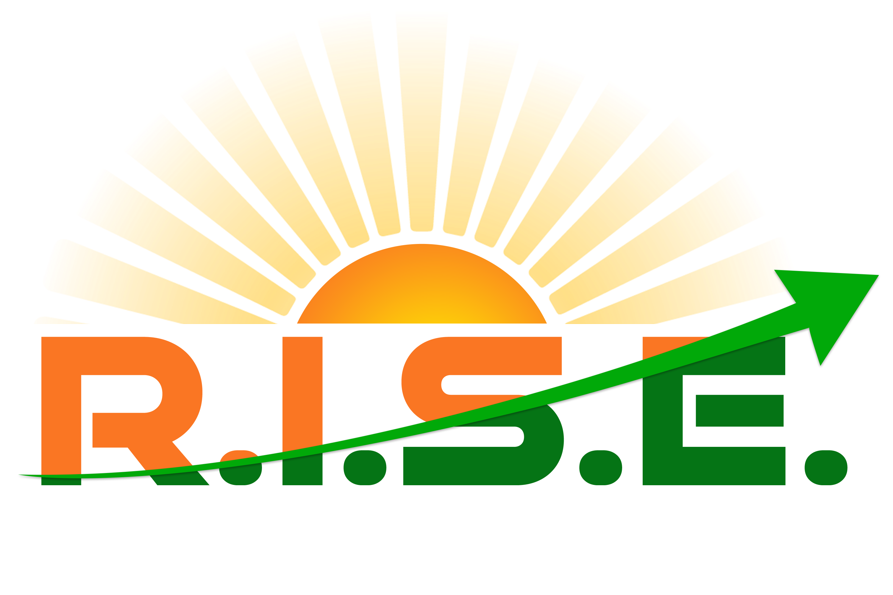 Logo RISE 