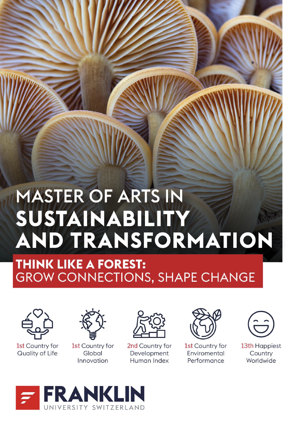 MAST brochure