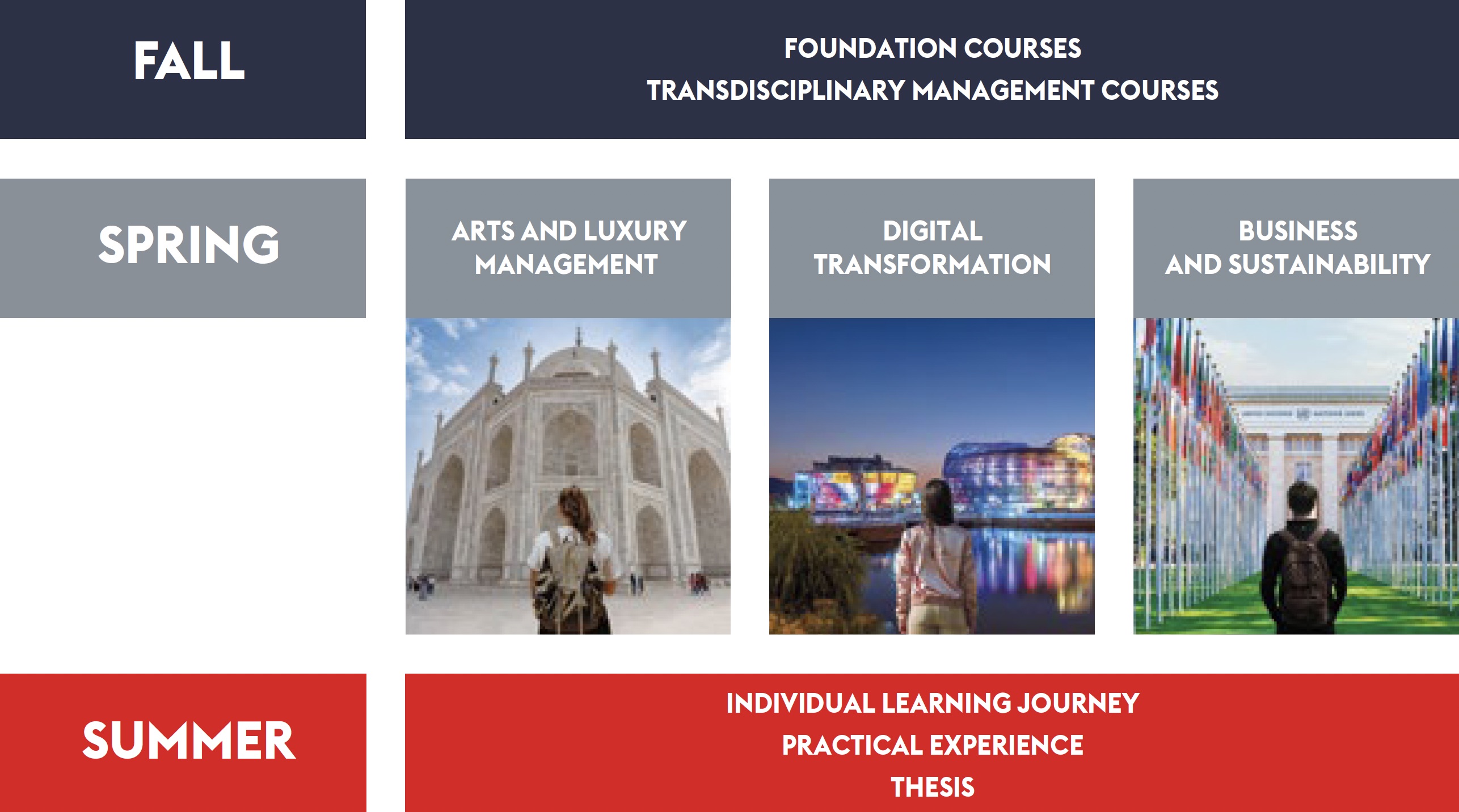 MS International Managemnt program structure
