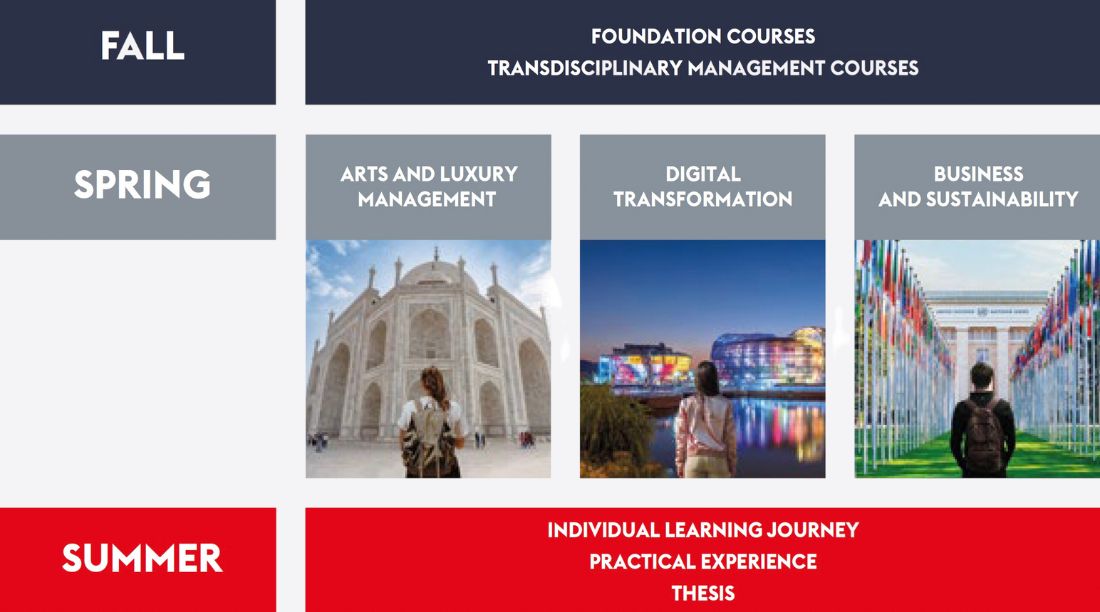 MS International Managemnt program structure