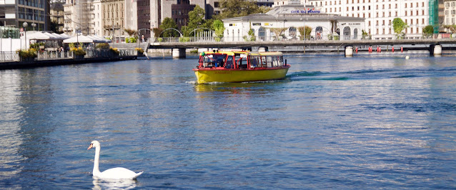 A picture of a Boat Ride on Lac Léman with a grand boat and a swan.