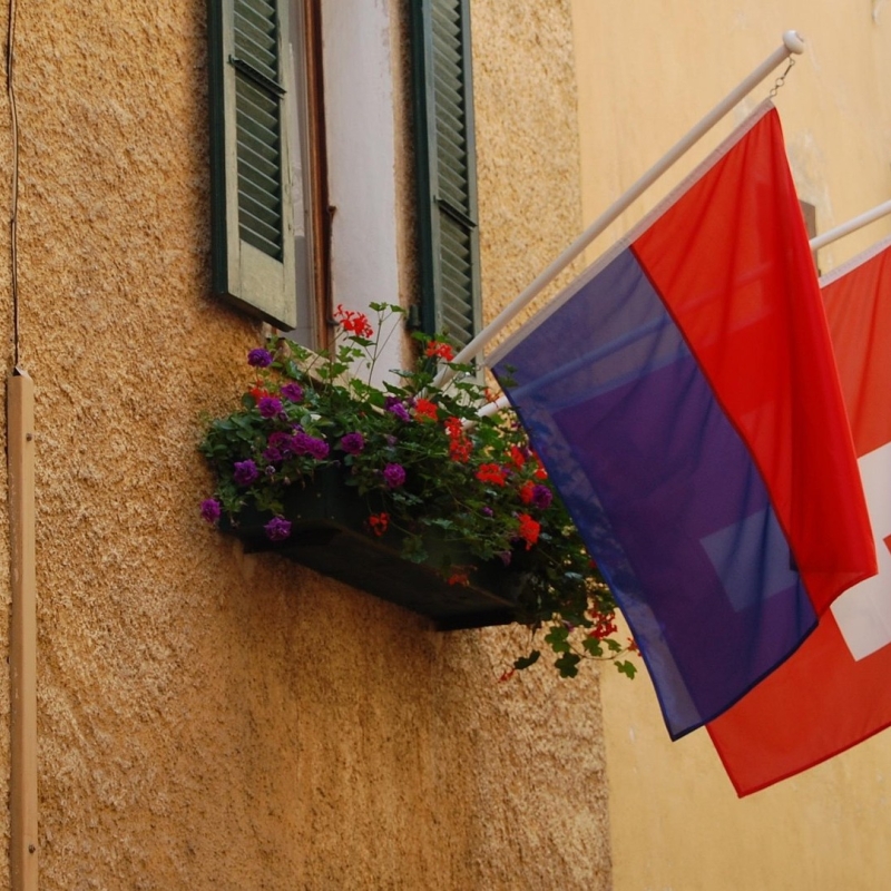 Ticino Flag