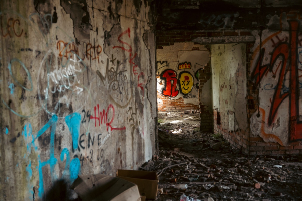 CLCS 220T Inventing the Past: The Uses of Memory in a Changing World travel to Bosnia, ruined building from the war