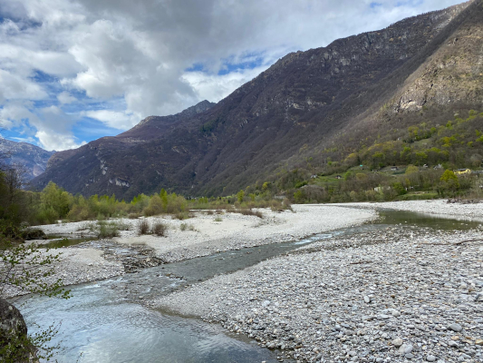 Professors Silvia Piccinelli and Patrick Della Croce organized a field trip to Val Maggia for three environmental science classes. 