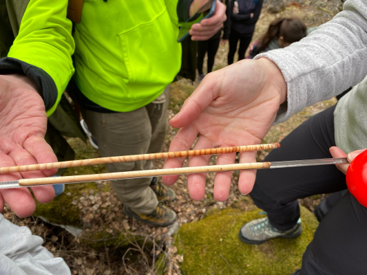 Professors Silvia Piccinelli and Patrick Della Croce organized a field trip to Val Maggia for three environmental science classes. 