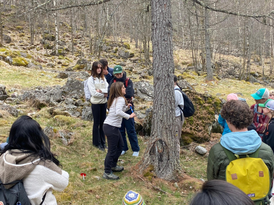 Professors Silvia Piccinelli and Patrick Della Croce organized a field trip to Val Maggia for three environmental science classes. 