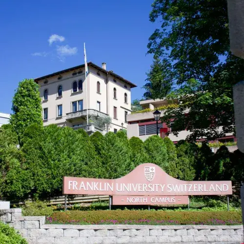 Transitioning to a University Institute